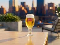 FB ATELIER - FB Studio