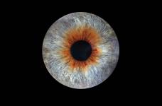 Anne JOLIVET - LES SENTIERS CREATIFS (PHOTOS EQUIVOX)