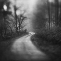 Jean-Baptiste PETER - JIB PETER PHOTOGRAPHE